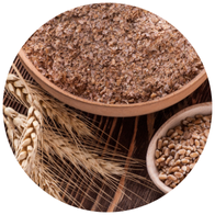 Untitled design (32)