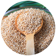 Untitled design (34)