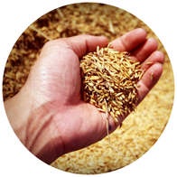 Untitled design (37)